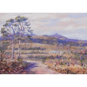 A spring evening walk near Monymusk with Bennachie in the distance.