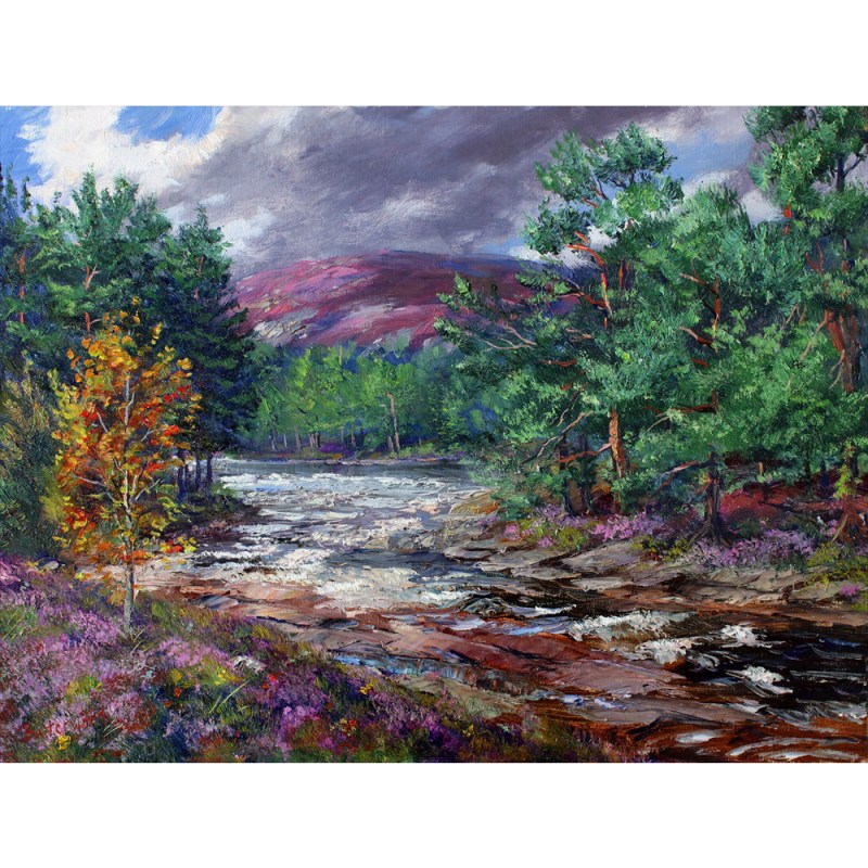 Royal Deeside at it's best. The River Dee " Water of Life" with heather banks and Pine Trees.